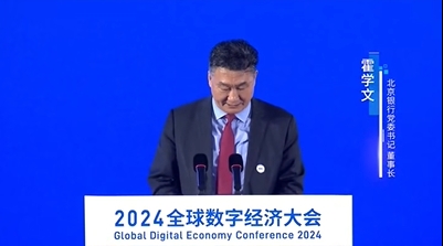 2024全球数字经济大会  雷学文发言